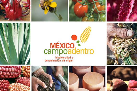 Mexico Campo Adentro