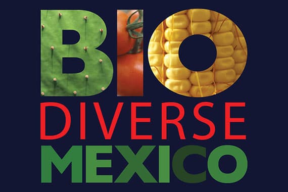 BIODIVERSE MEXICO